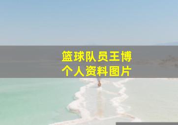 篮球队员王博个人资料图片