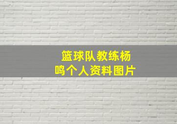 篮球队教练杨鸣个人资料图片