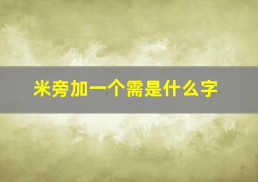 米旁加一个需是什么字