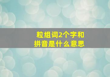 粒组词2个字和拼音是什么意思