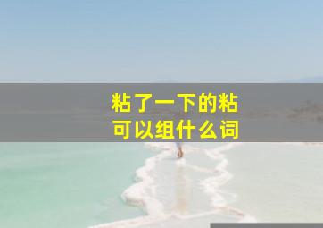 粘了一下的粘可以组什么词