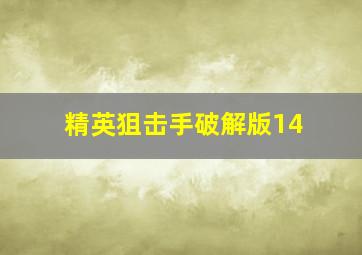 精英狙击手破解版14