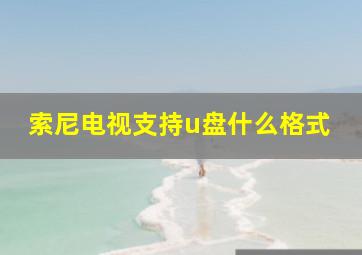 索尼电视支持u盘什么格式