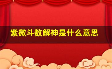 紫微斗数解神是什么意思