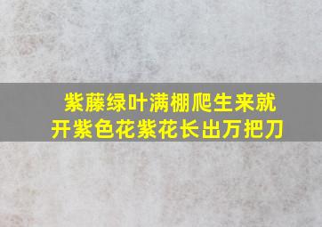 紫藤绿叶满棚爬生来就开紫色花紫花长出万把刀