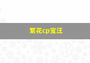 繁花cp宝汪