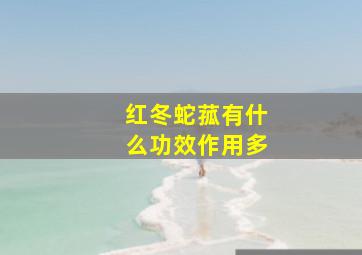 红冬蛇菰有什么功效作用多