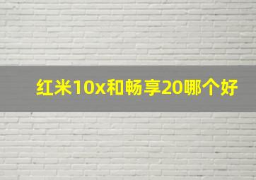 红米10x和畅享20哪个好