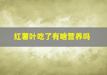 红薯叶吃了有啥营养吗