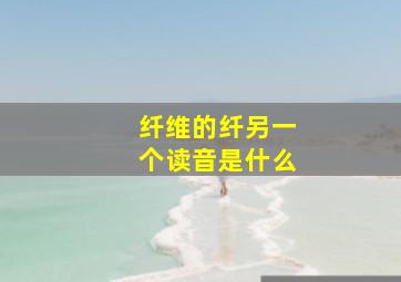 纤维的纤另一个读音是什么