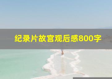 纪录片故宫观后感800字