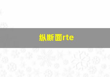 纵断面rte