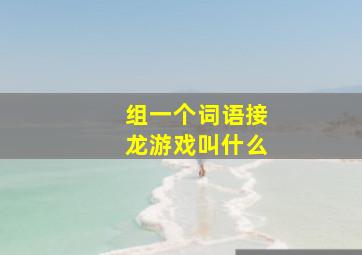 组一个词语接龙游戏叫什么