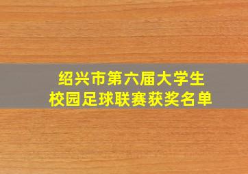 绍兴市第六届大学生校园足球联赛获奖名单