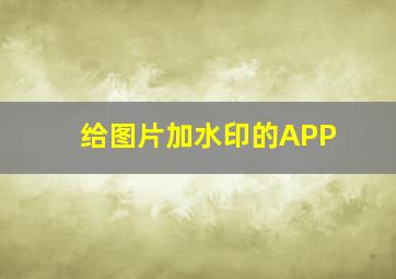 给图片加水印的APP