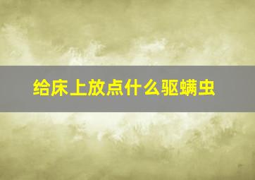 给床上放点什么驱螨虫