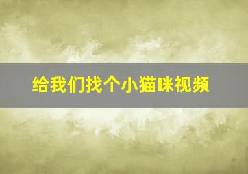 给我们找个小猫咪视频