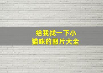 给我找一下小猫咪的图片大全