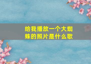 给我播放一个大蜘蛛的照片是什么歌