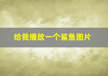 给我播放一个鲨鱼图片