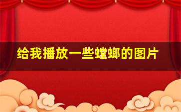 给我播放一些螳螂的图片