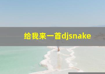 给我来一首djsnake