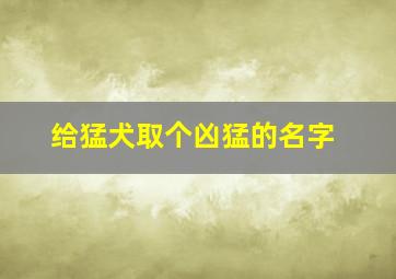 给猛犬取个凶猛的名字