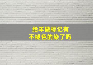 给羊做标记有不褪色的染了吗