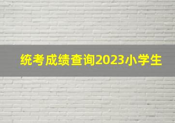 统考成绩查询2023小学生