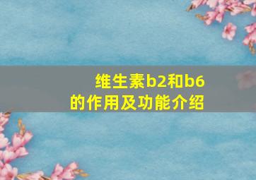 维生素b2和b6的作用及功能介绍