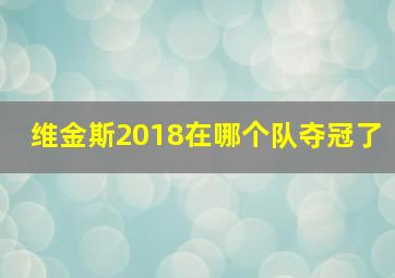 维金斯2018在哪个队夺冠了