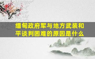 缅甸政府军与地方武装和平谈判困难的原因是什么