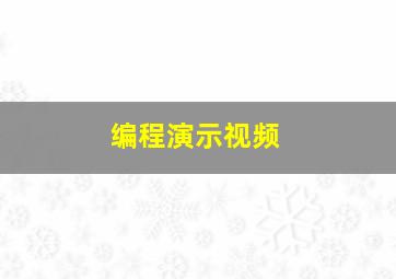 编程演示视频