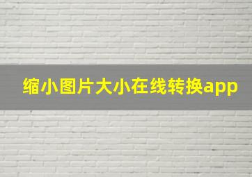 缩小图片大小在线转换app