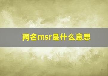 网名msr是什么意思