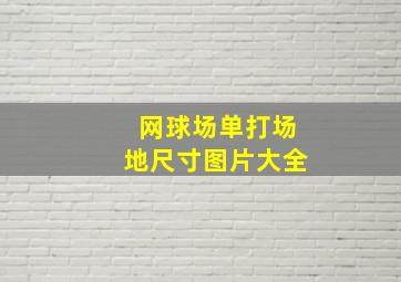 网球场单打场地尺寸图片大全