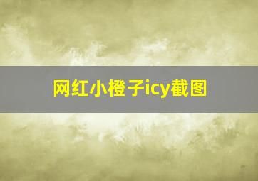 网红小橙子icy截图