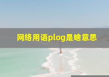 网络用语plog是啥意思