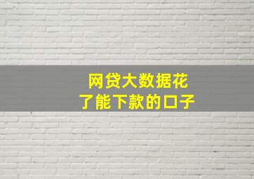 网贷大数据花了能下款的口子