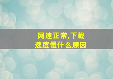 网速正常,下载速度慢什么原因