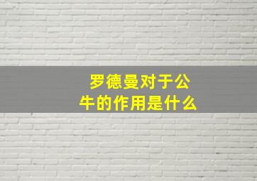 罗德曼对于公牛的作用是什么