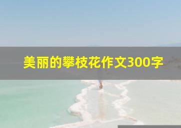 美丽的攀枝花作文300字