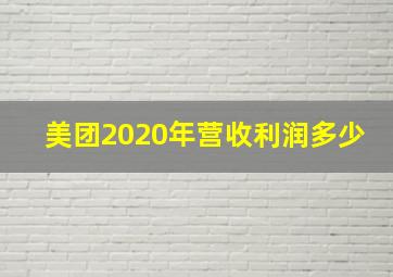 美团2020年营收利润多少