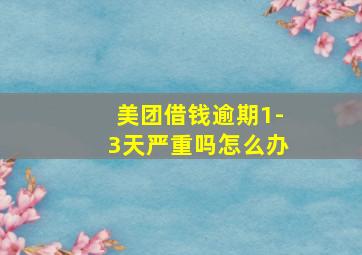 美团借钱逾期1-3天严重吗怎么办