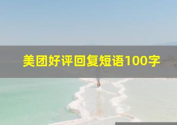 美团好评回复短语100字