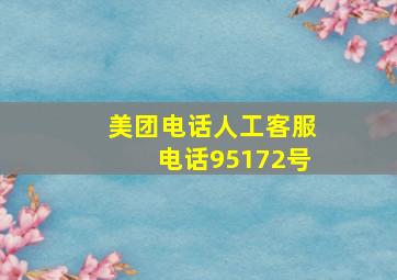 美团电话人工客服电话95172号