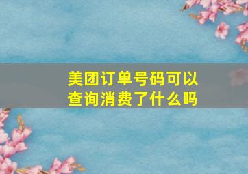 美团订单号码可以查询消费了什么吗