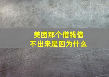 美团那个借钱借不出来是因为什么