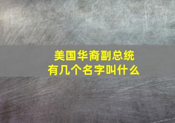 美国华裔副总统有几个名字叫什么