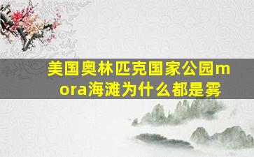 美国奥林匹克国家公园mora海滩为什么都是雾